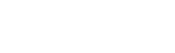 Transition Doulas, LLC